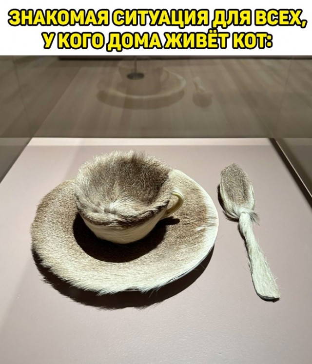 Весёлый полтишок 21.05.23