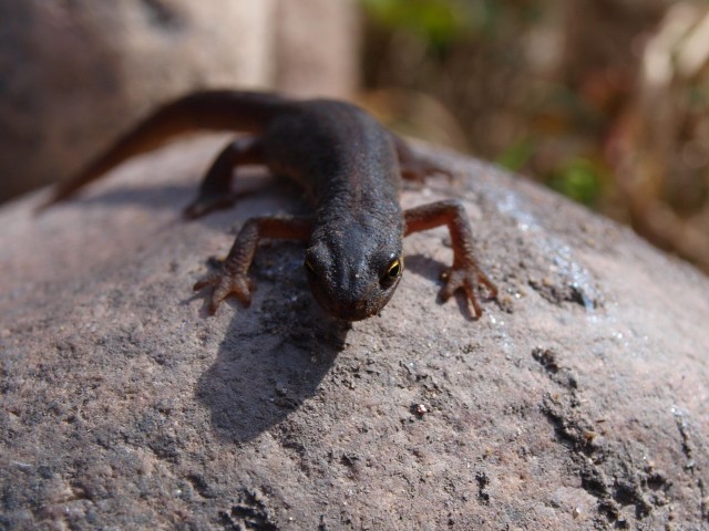 Мои фото без обработки