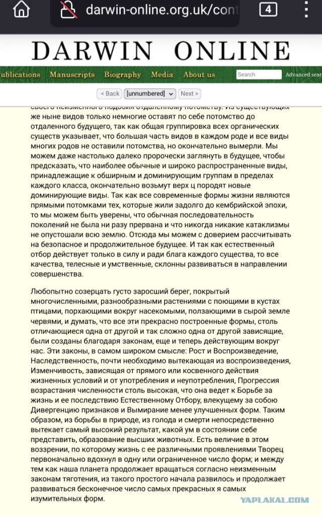 30% россиян выступают за исключение теории Дарвина из школьного курса — ВЦИОМ