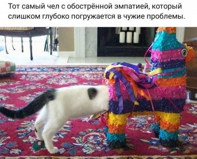 Тлидцать тли от 12 февлаля