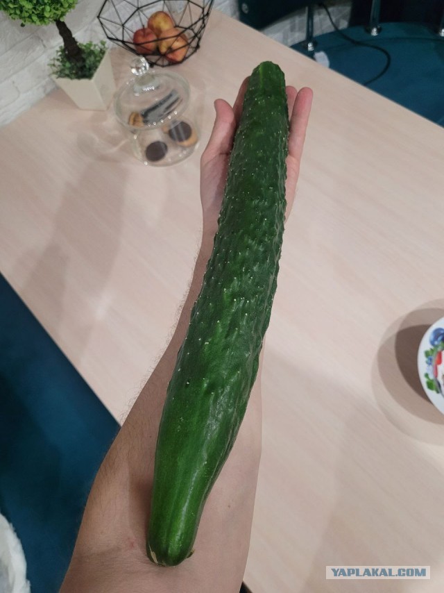 А у вас какой урожай?