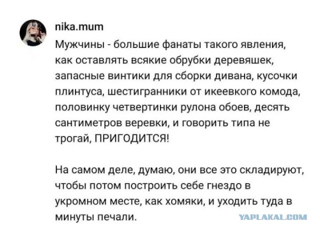 Очумелые Пёрышки. Начало