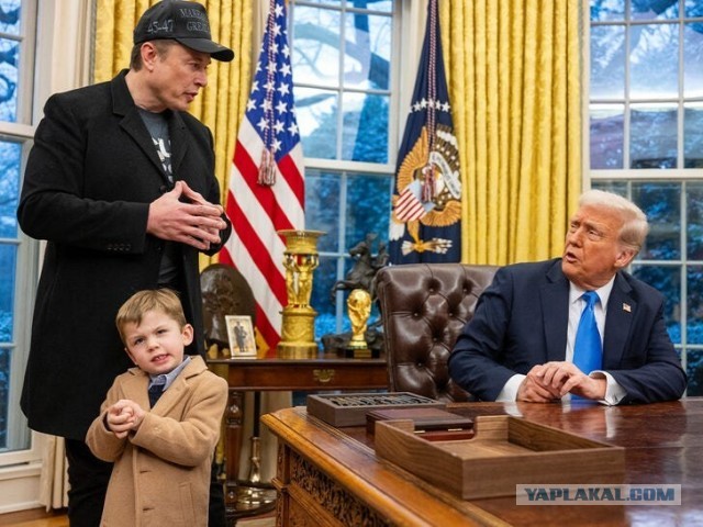 Трамп прокомментировал разговор с Зеленским