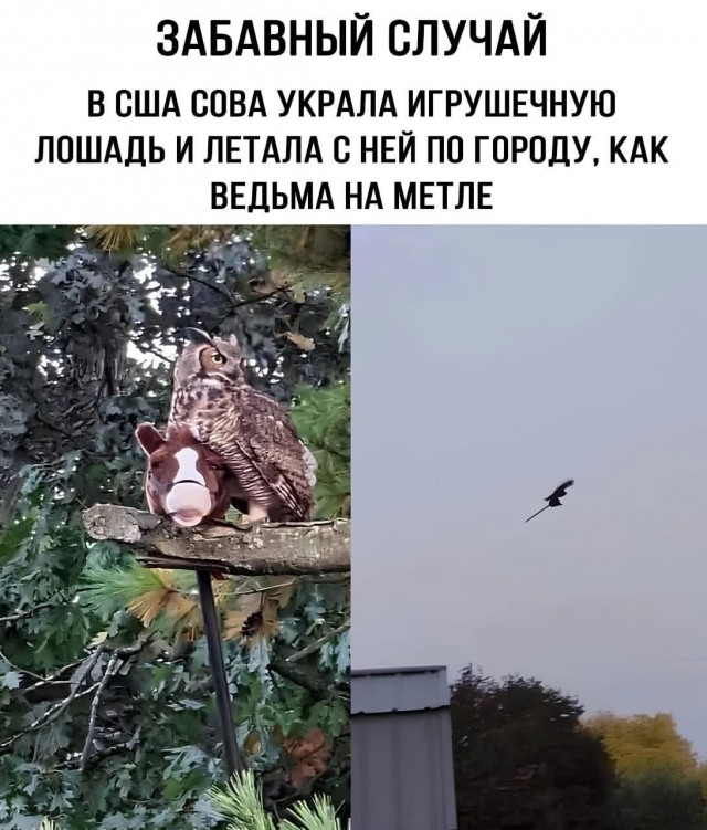 Завалялось тут случайно немного забавных картинок