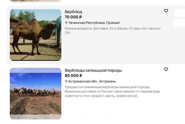 Смешная история Вовы (за два дня видео набрало 1М просмотров)