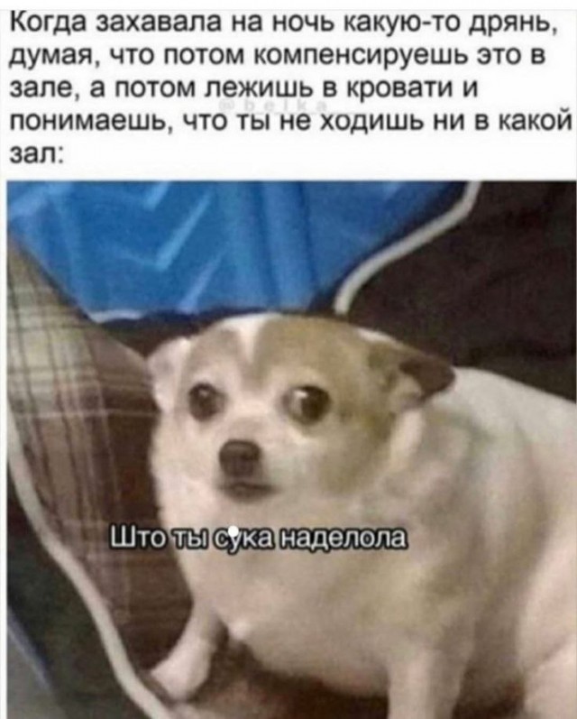 Картинки для деградации-6 (разной степени свежести)