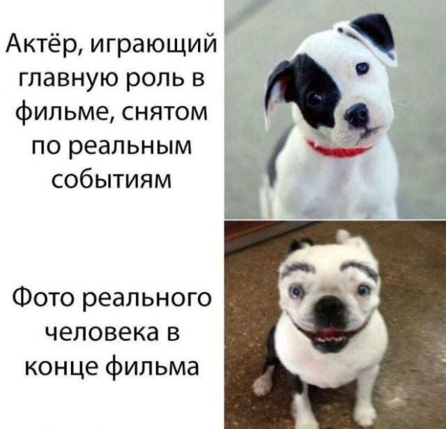 Картинки для деградации 35 (разной степени свежести)