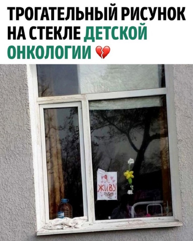 Так себе картинки 18.11.25