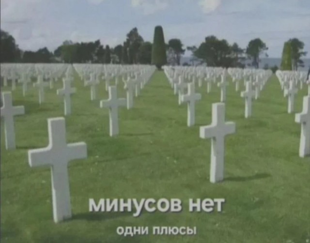 Картинки