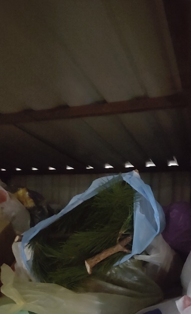 Пять часов до Нового года...