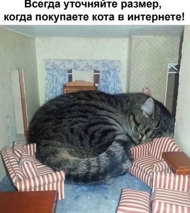 Немного картинок на ночь