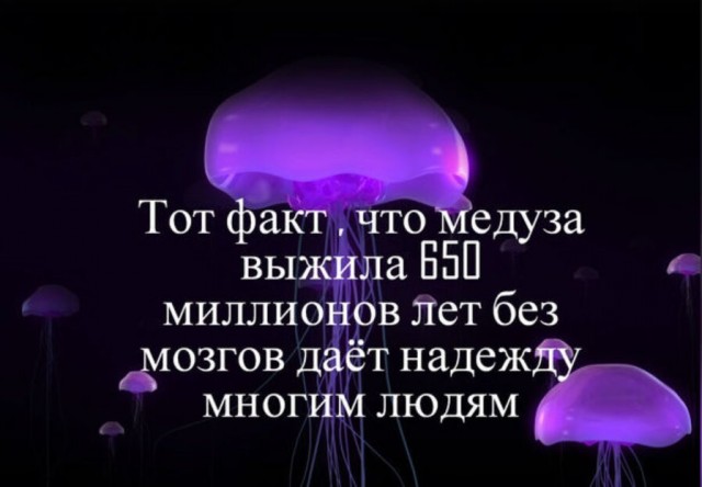 Участников акций «в защиту интернета» будут задерживать