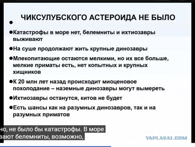 Альтернативная сборка: какой могла быть жизнь на Земле. Михаил Никитин Краткий пересказ одноименной лекции.