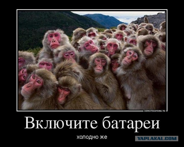 Подборка веселых картинок