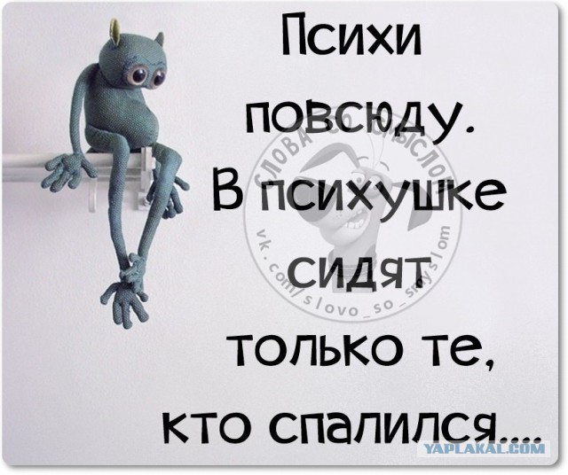 Веселые жизненные наблюдения из Вредного журнала
