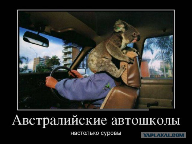 Традиционная пятничная подборка ВК и не только