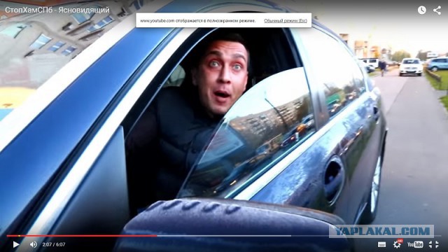 Новый Стоп Хам Спб