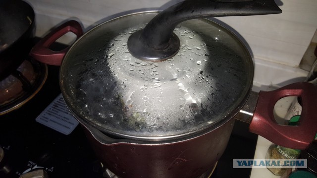 Две половинки сердца китайской свиньи.