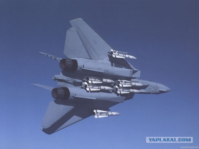 F-14 Tomcat