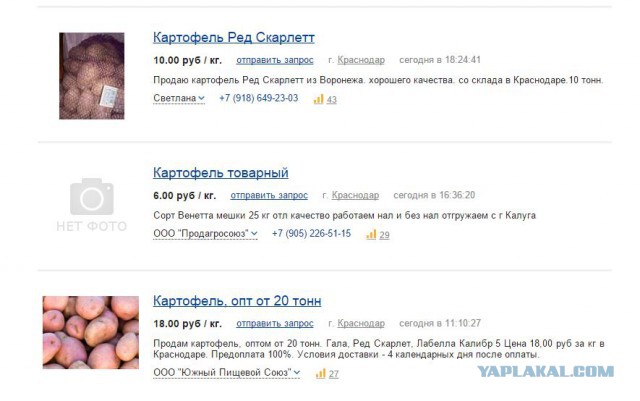 Путин: спекулянты виновными в падении уровня жизни