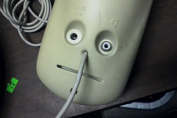 Они живые. Они смотрят на нас!