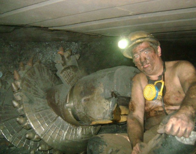 Трудовой народ в лицах