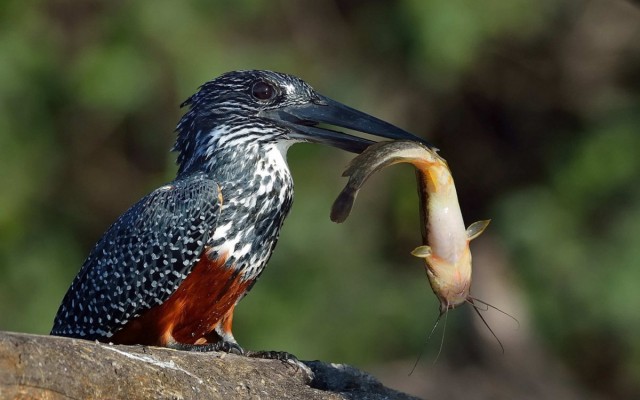 Красивые фото