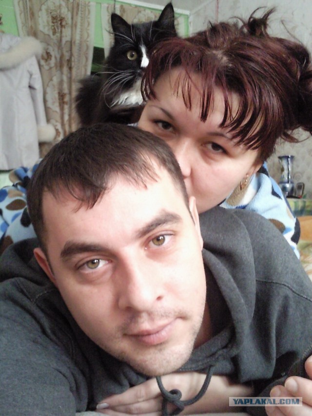 Взяли домой крошечного котенка мейн-куна — полюбуйтесь, каким он стал через год!