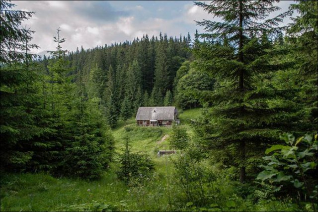 Картинки для отдыха глаз