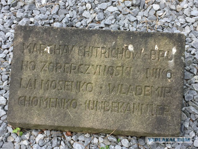 Бессмертный полк