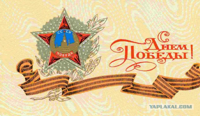 Они плевали на Родину, на День Победы и на отдавших кровь за нашу жизнь!