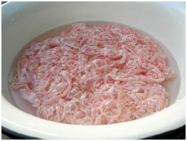 Кулинары поздравляют ЯП с днём рождения!