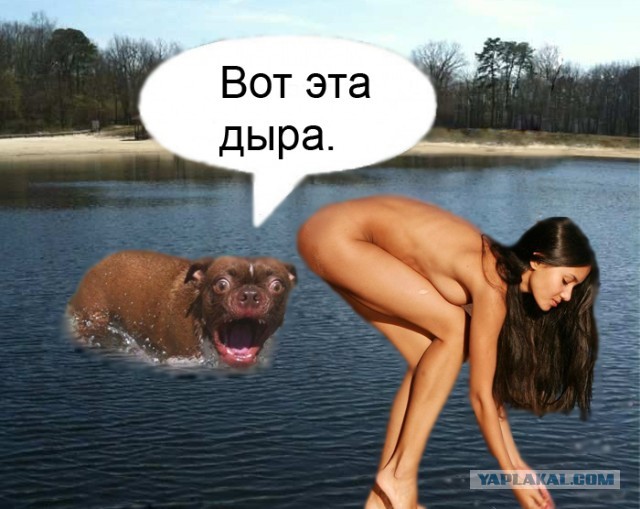 Жабельный собакен