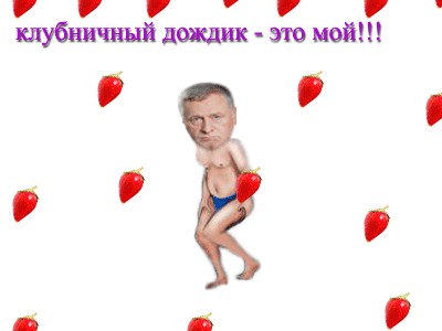 Как Жириновский на клубнике был