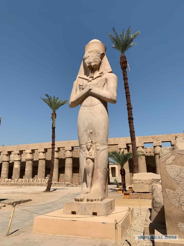 Как я провел отпуск в Египте (октябрь 2020)