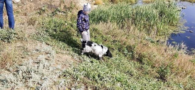 Не зарекаются любя