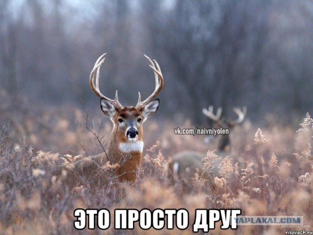 Переписка