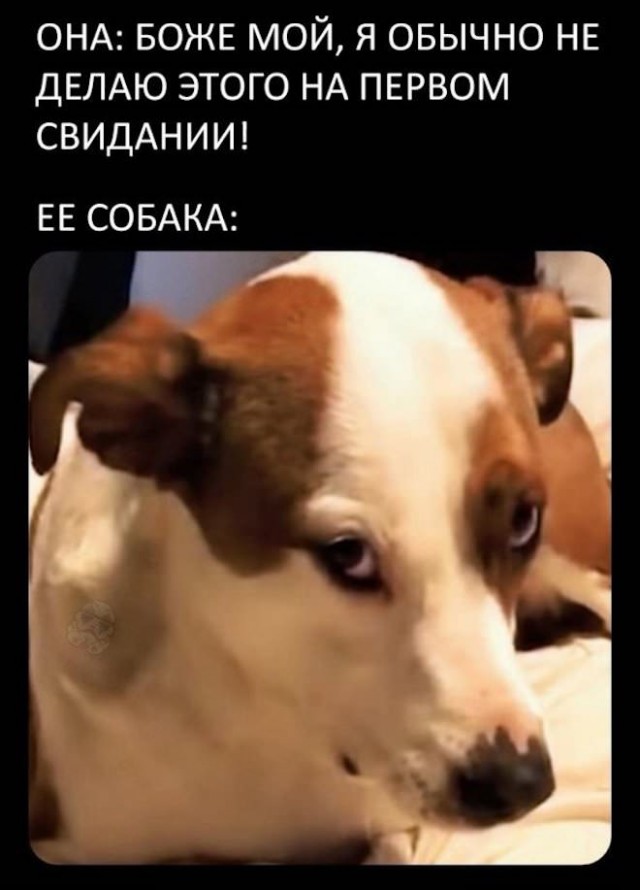 Мемасы (Пошлятина в основном)
