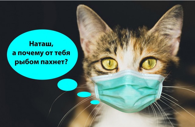 Вы меня достали своими рыбАми. Айда обратно к Наташе