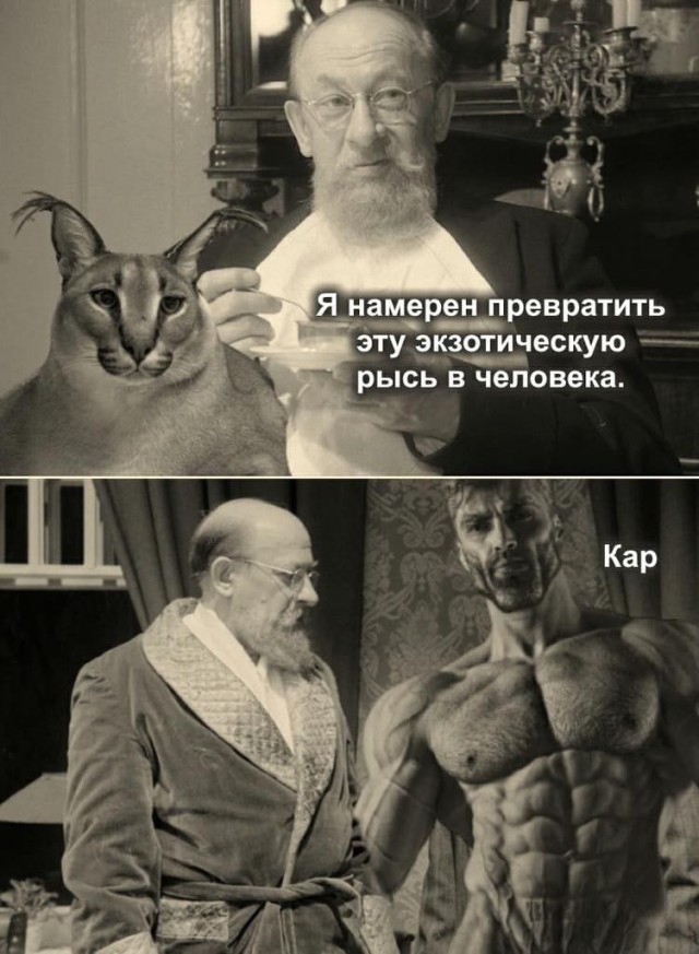 Юмор и прикольные картинки 11.10.2021