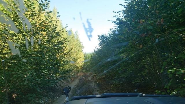 Закрытие сезона (рыбалка)