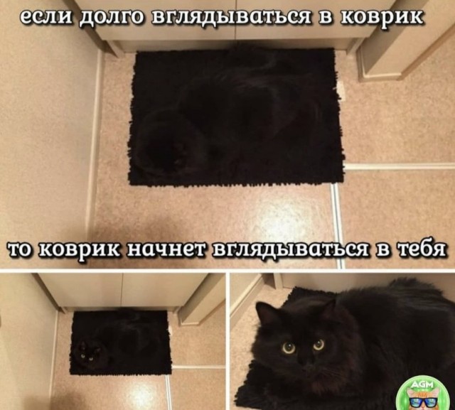 Картинки и мемы для настроения