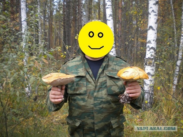 Друзь собирает груздь
