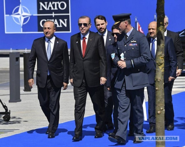 Турция пригрозила России «ответом» в случае «малейшего нападения» на страну НАТО