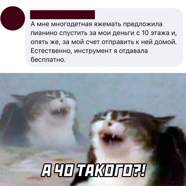 Картинки и мемы для настроения - 19