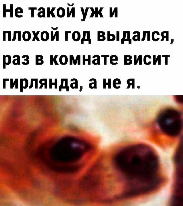 Не много весёлых картинок