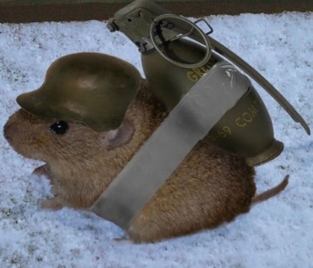 Дамбу прогрызли грызуны
