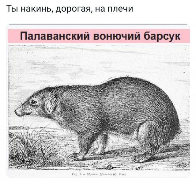 Народная меДИЧина (неизданное)