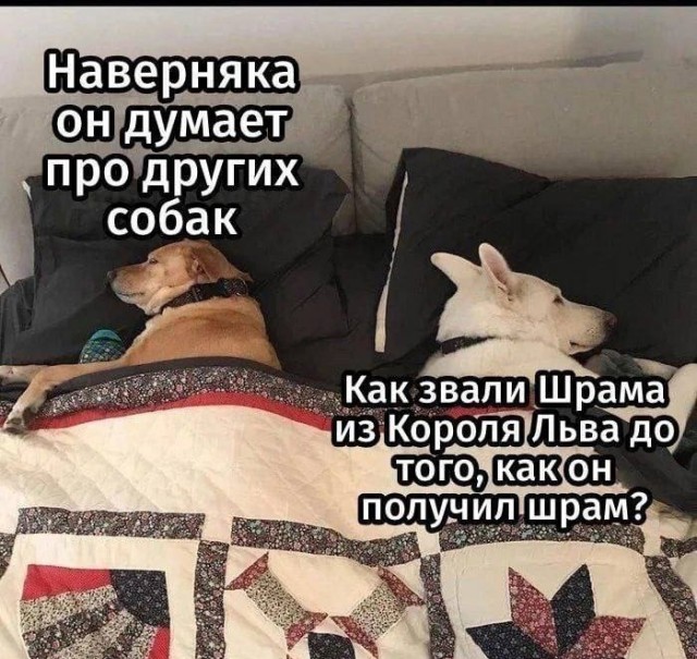 Старался без боянов