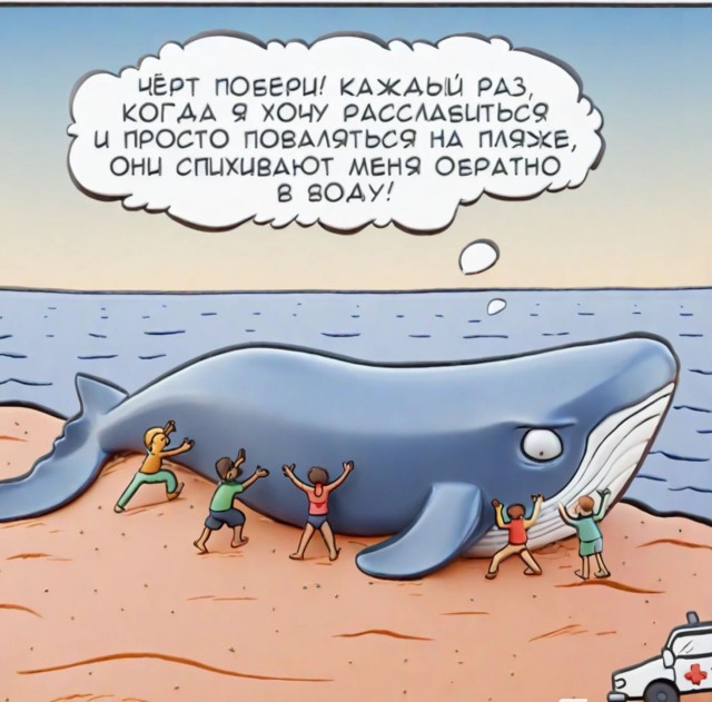 Так себе картинки 24.06.24